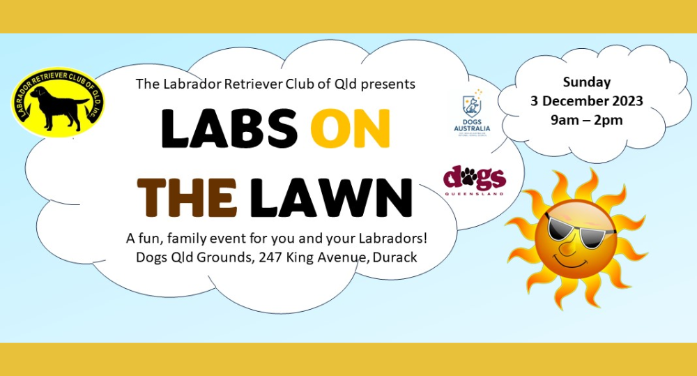 LABS ON THE LAWN